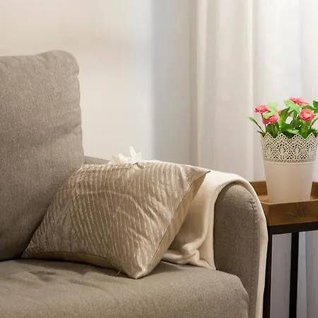 Apartment Downtown Correeiros